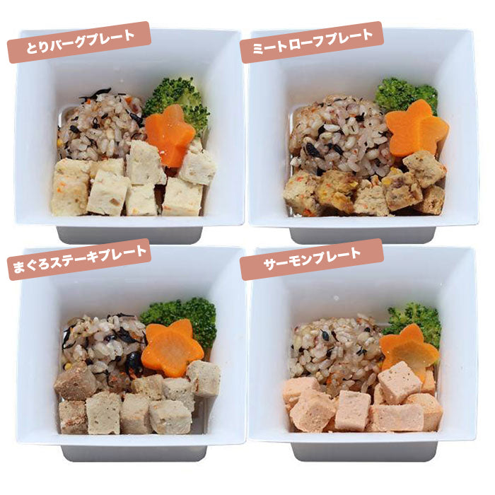 ワンちゃんお食事プレート4種 選べる組み合わせ