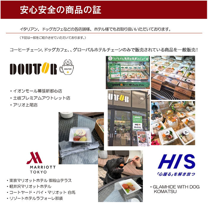 ワンちゃんお食事プレート4種 選べる組み合わせ