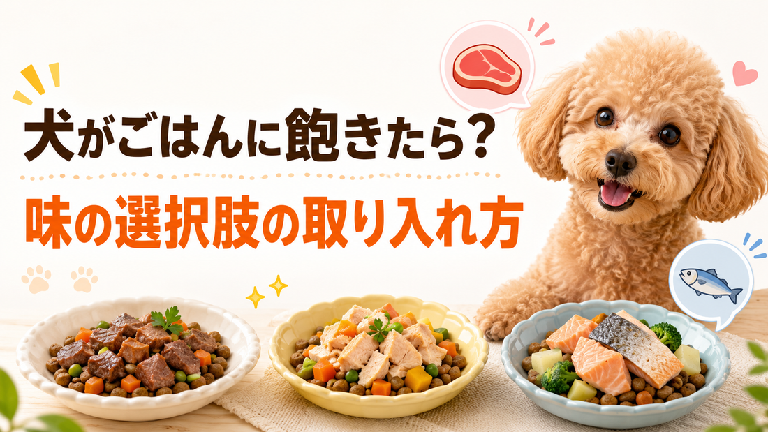 犬がごはんに飽きたときはどうする？味の選択肢があるごはんの取り入れ方