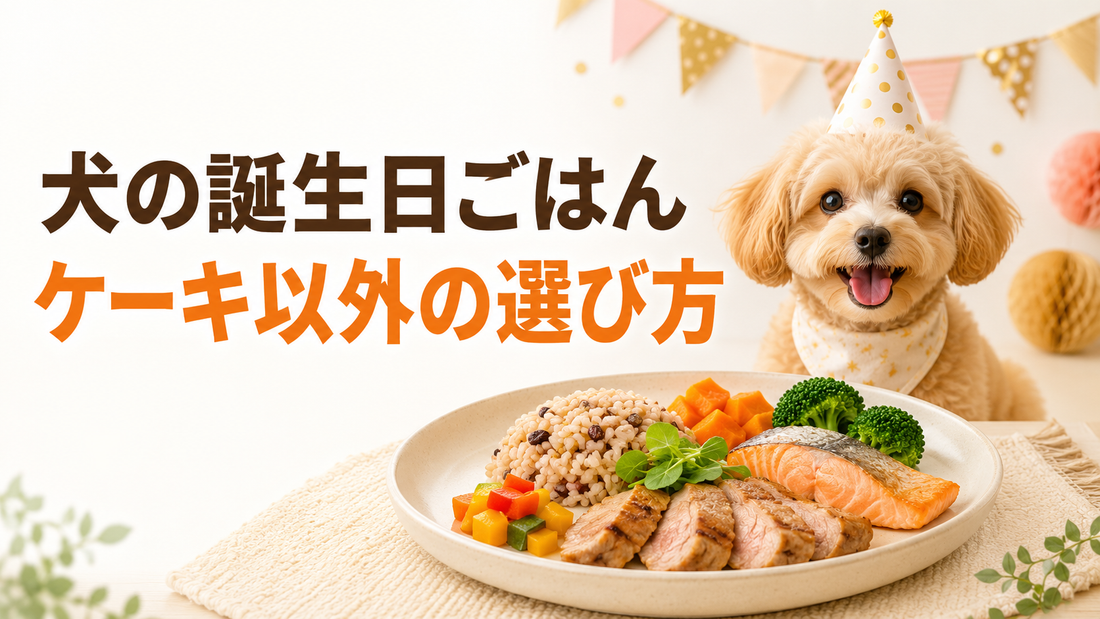 犬の誕生日ごはんにプレートを選ぶには？ケーキ以外のごちそうという選択肢