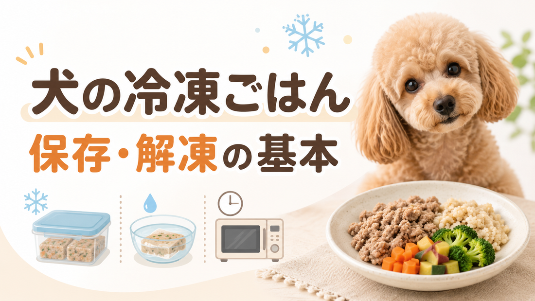 犬の冷凍ごはんはどう保存する？解凍・与え方・ストックの基本