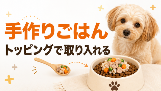 犬の手作りごはんをトッピングで取り入れるには？冷凍ごはんを普段の食事にプラスする考え方