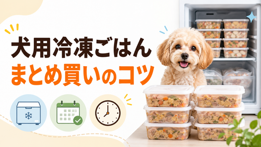 犬用冷凍ごはんをまとめ買いするときのポイント｜保存期間・注文日・冷凍庫を確認
