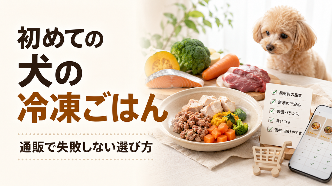 初めて犬の冷凍ごはんを通販で買うときのチェックポイント｜失敗しにくい選び方