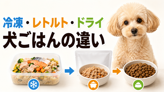 犬のごはんは冷凍・レトルト・ドライでどう違う？通販で選ぶ前に知りたいポイント