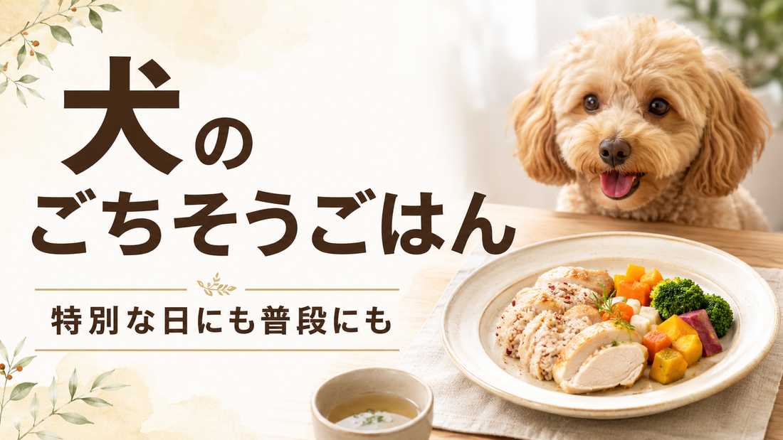 犬のごちそうごはんはいつ取り入れる？特別な日にも普段にも使いやすい考え方