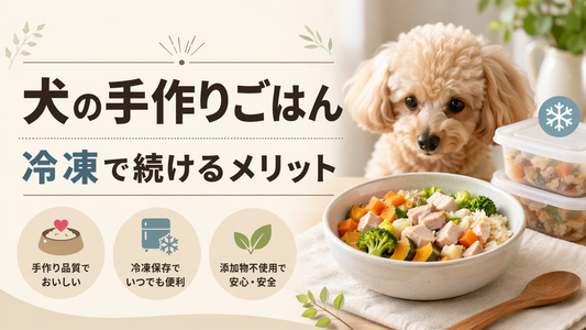 犬の手作りごはんを冷凍で続けるメリット｜無添加で安心な選び方